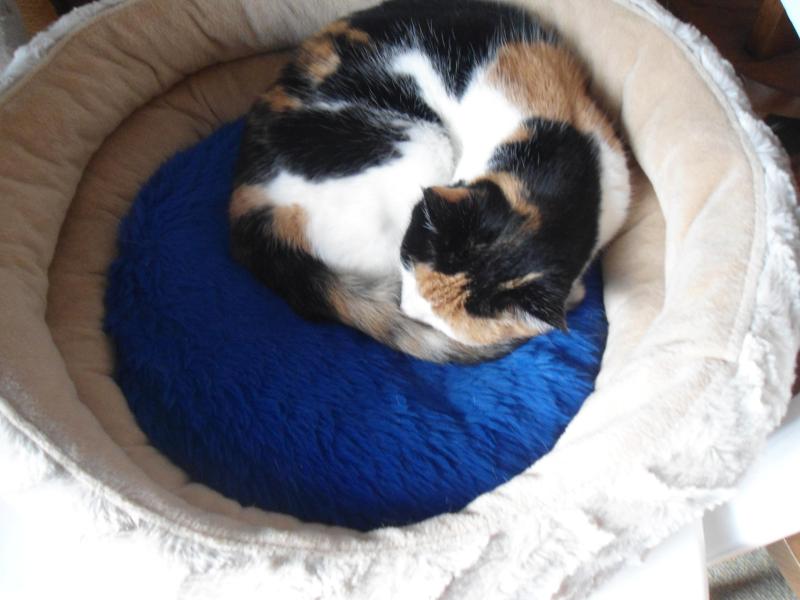 erna63 uploaded   120  day/s  ago