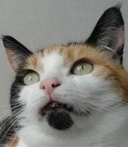 erna63 uploaded   120  day/s  ago