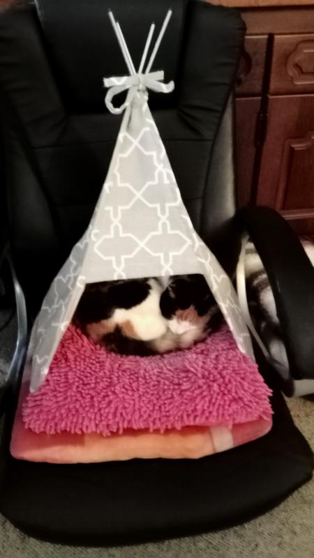 erna63 uploaded   120  day/s  ago