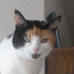 erna63 uploaded   120  day/s  ago