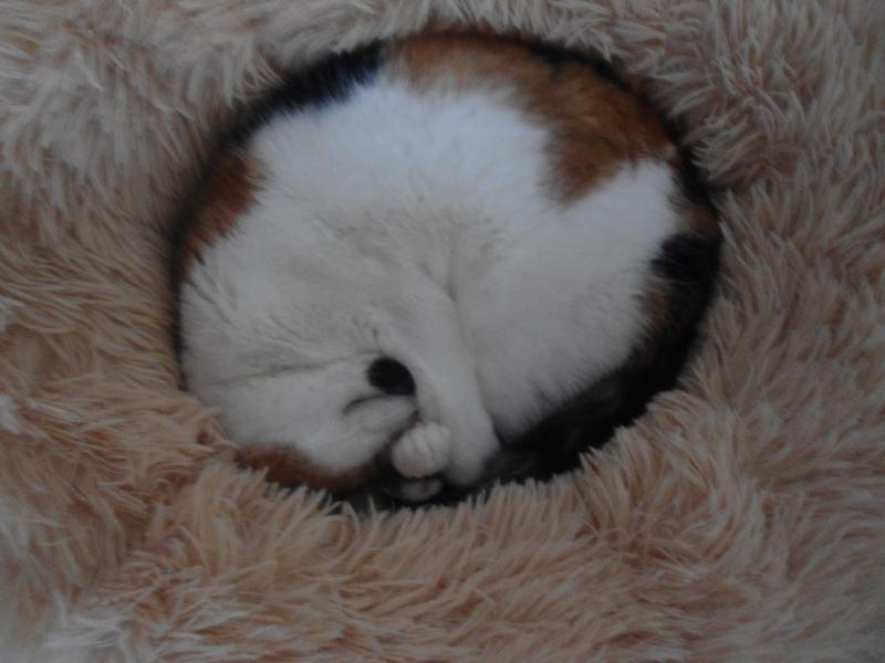 erna63 uploaded   117  day/s  ago