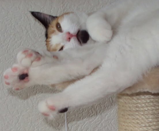 erna63 uploaded   115  day/s  ago