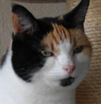 erna63 uploaded   115  day/s  ago