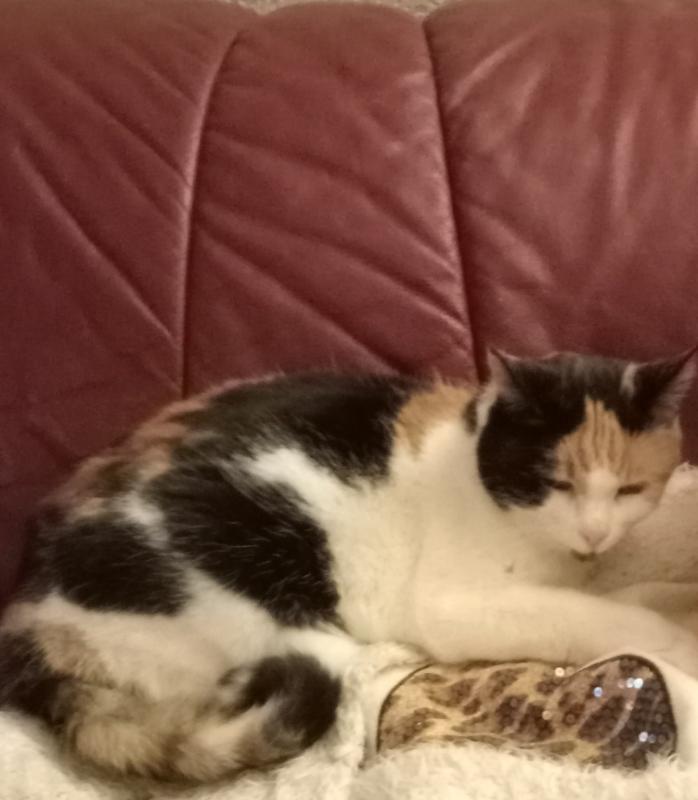 erna63 uploaded   140  day/s  ago