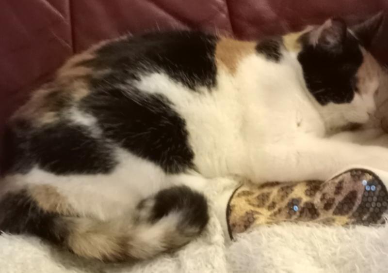 erna63 uploaded   140  day/s  ago