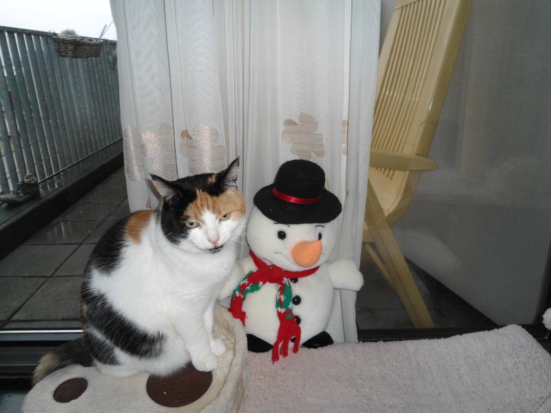 erna63 uploaded   137  day/s  ago