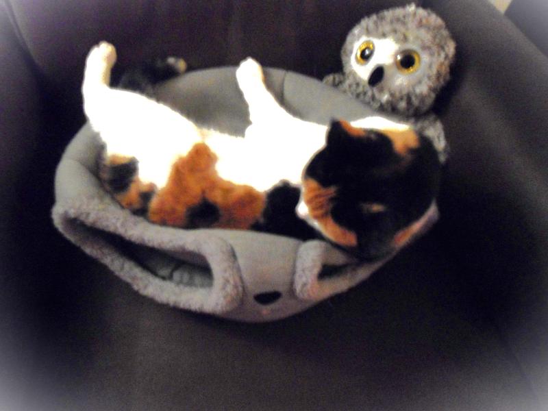 erna63 uploaded   136  day/s  ago