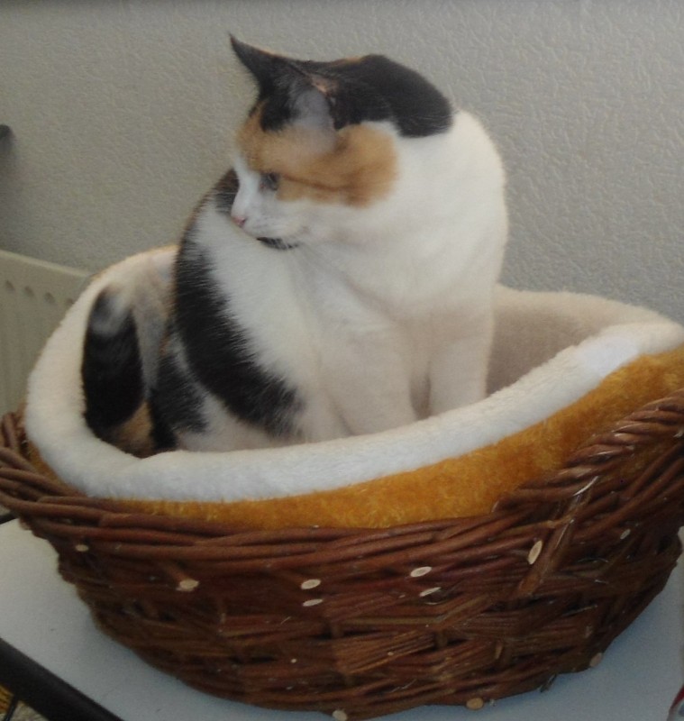 erna63 uploaded   133  day/s  ago