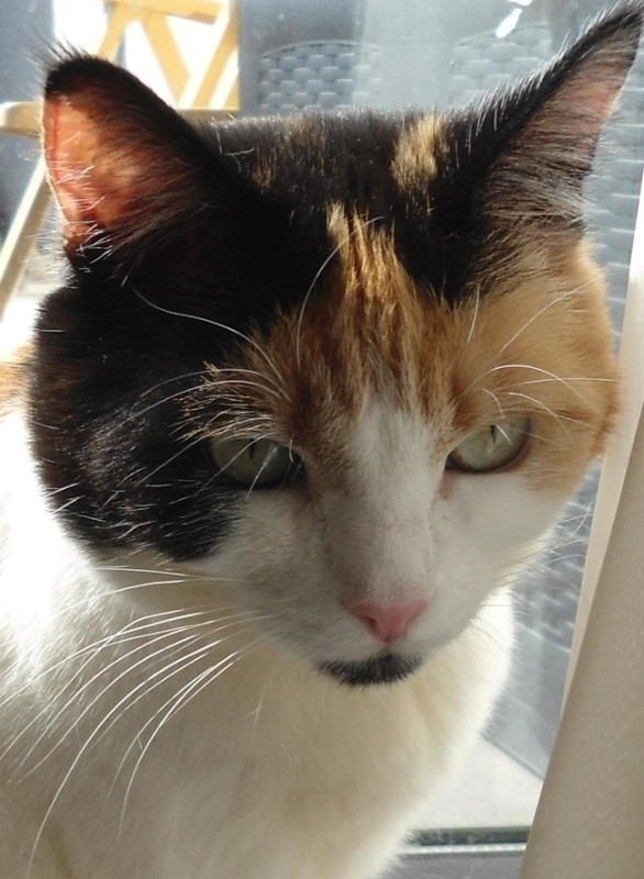 erna63 uploaded   163  day/s  ago