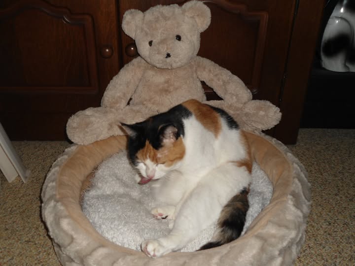 erna63 uploaded   137  day/s  ago