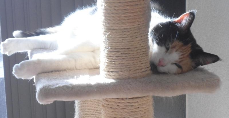 erna63 uploaded   100  day/s  ago