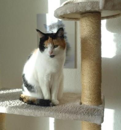 erna63 uploaded   100  day/s  ago