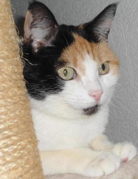 erna63 uploaded   100  day/s  ago