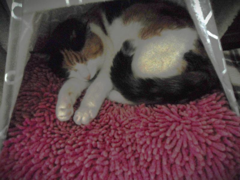 erna63 uploaded   99  day/s  ago