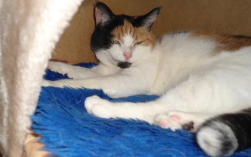 erna63 uploaded   98  day/s  ago