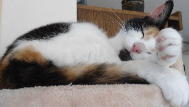 erna63 uploaded   96  day/s  ago