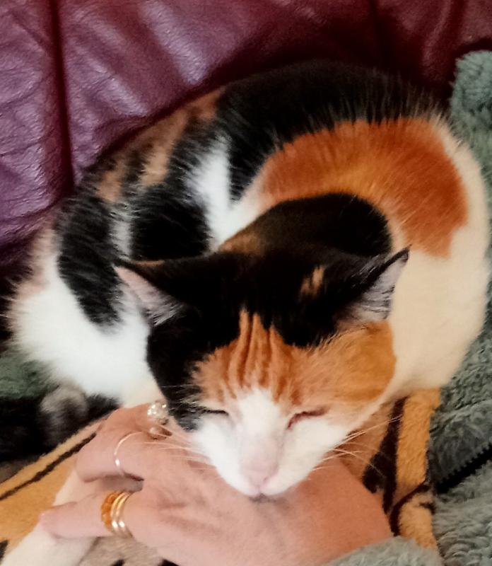 erna63 uploaded   95  day/s  ago