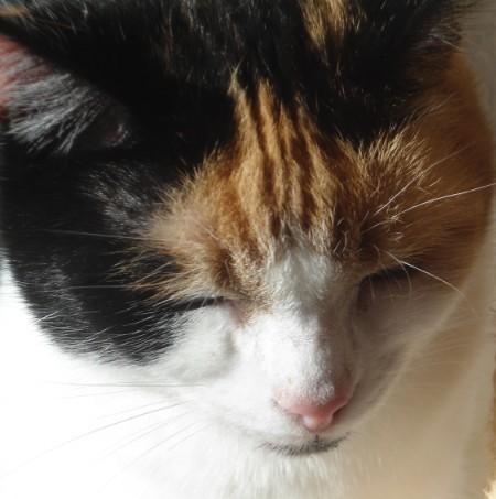 erna63 uploaded   95  day/s  ago