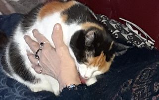 erna63 uploaded   95  day/s  ago