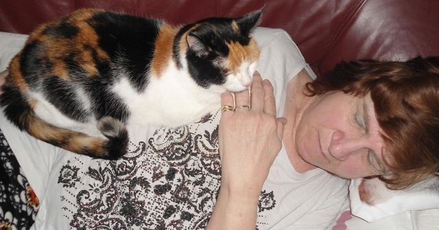 erna63 uploaded   94  day/s  ago