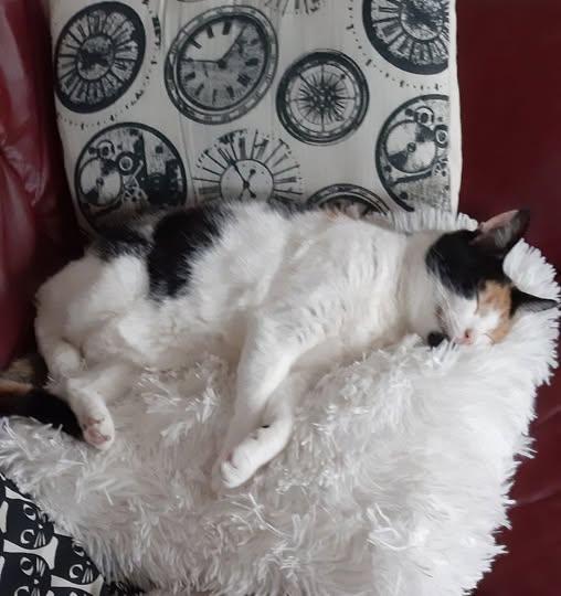 erna63 uploaded   94  day/s  ago