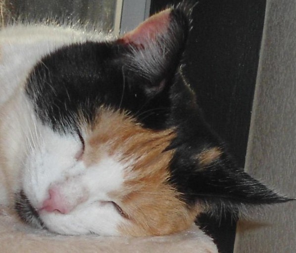 erna63 uploaded   94  day/s  ago