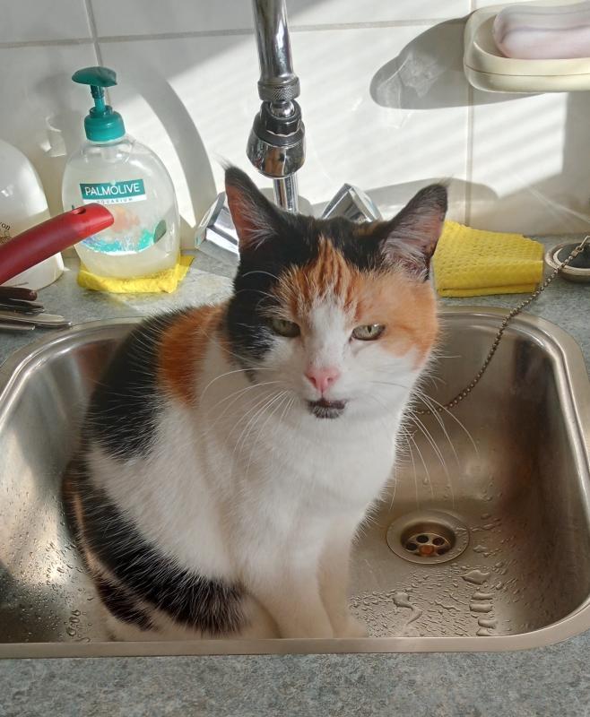 erna63 uploaded   66  day/s  ago