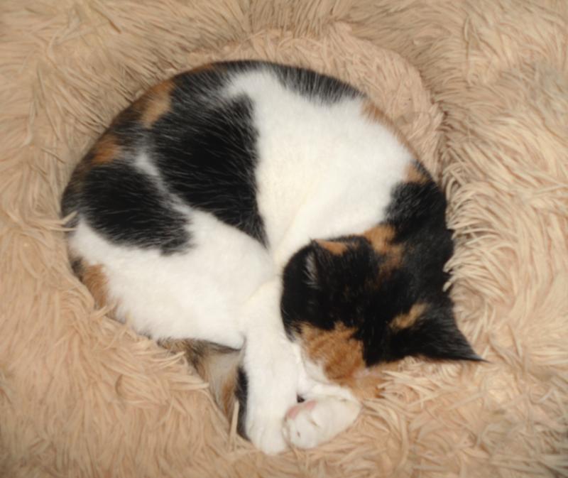 erna63 uploaded   92  day/s  ago