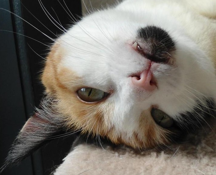 erna63 uploaded   83  day/s  ago