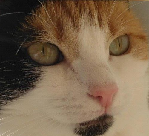 erna63 uploaded   9  day/s  ago