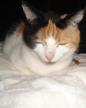 erna63 uploaded   82  day/s  ago