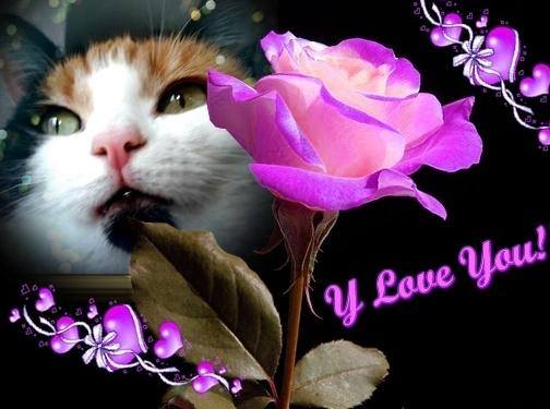 erna63 uploaded   88  day/s  ago