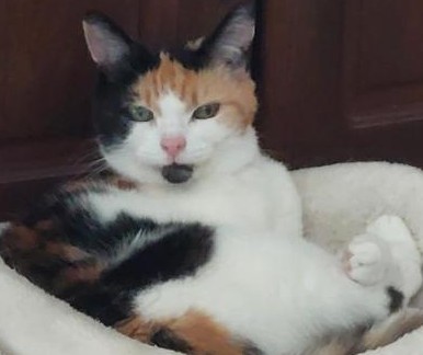 erna63 uploaded   81  day/s  ago