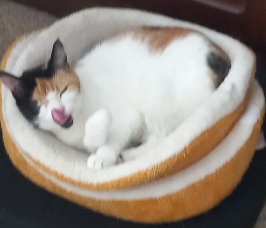 erna63 uploaded   81  day/s  ago