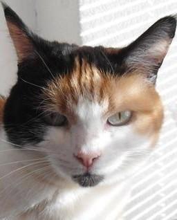 erna63 uploaded   7  day/s  ago