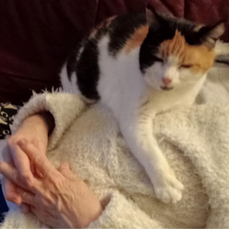 Chloë of the erna63 family