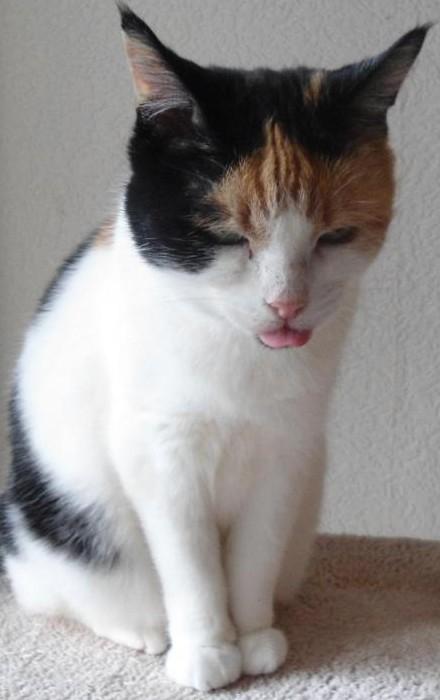 Chloë of the erna63 family