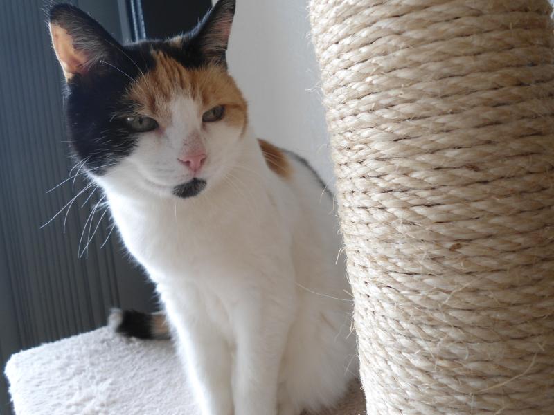 Chloë of the erna63 family