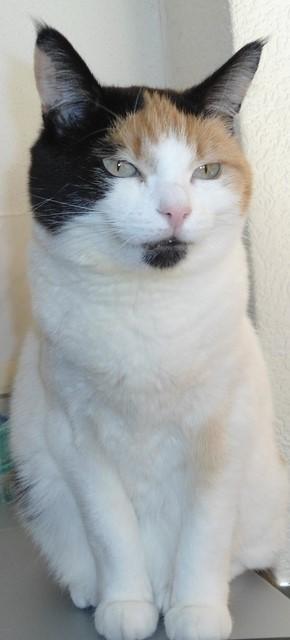 Chloë of the erna63 family