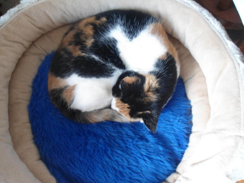 Chloë of the erna63 family