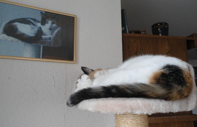 Chloë of the erna63 family