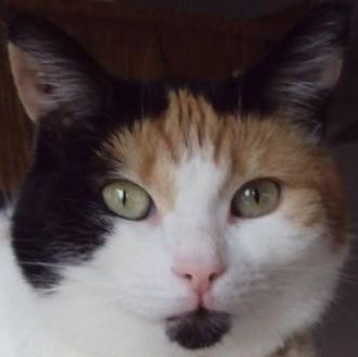 Chloë of the erna63 family