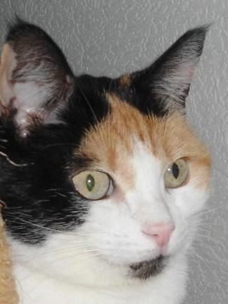 erna63 uploaded   71  day/s  ago