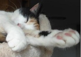 erna63 uploaded   71  day/s  ago