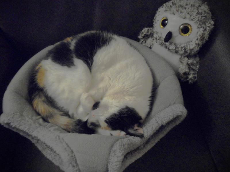 erna63 uploaded   80  day/s  ago