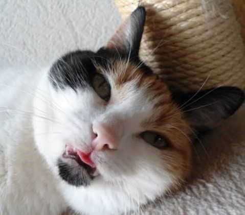 erna63 uploaded   77  day/s  ago