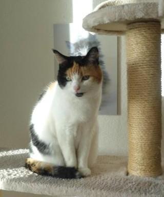 erna63 uploaded   77  day/s  ago