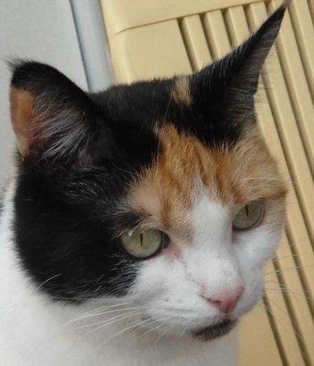 erna63 uploaded   77  day/s  ago