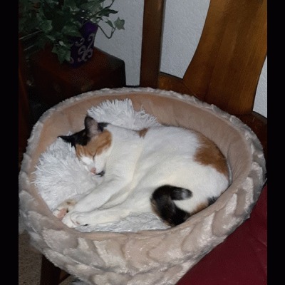 erna63 uploaded   75  day/s  ago