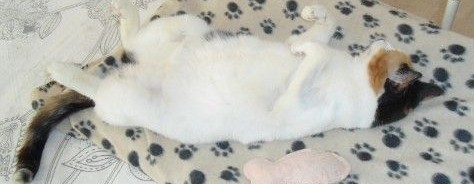 erna63 uploaded   75  day/s  ago